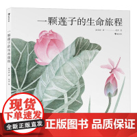 一颗莲子的生命旅程精装硬壳 以国画绘出莲的生命轮回国风情怀自然科普绘本 系统讲述莲文化和莲的科学知识 陈莹婷 浪花朵朵正