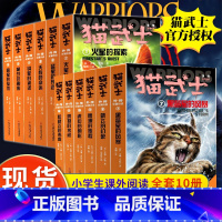 猫武士外传长篇小说 全1-12册 [正版]猫武士外传长篇小说全套1-14册蓝星的预言火星的探索不为人知的奇幻故事书10岁