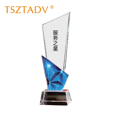 TSZTADV 奖杯可定制 8cm*27cm 个