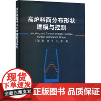 高炉料面分布形状建模与控制 张勇,周平, 专业科技 冶金、地质 冶金工业 正版图书籍冶金工业出版社