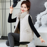 秋冬季短款韩版新款宽松立领百搭马甲背心时尚洋气坎肩外套女