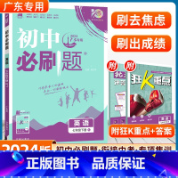 英语 人教版-广东专用 [正版]2024版初中七年级下册英语人教版初一7年级RJ初中课文复习资料沪牛外研冀教译林同步训练