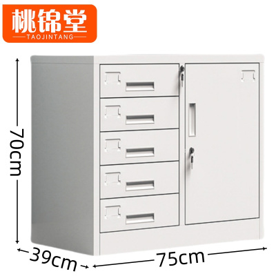 桃锦堂 文件柜五斗一门 台