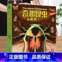 [奇趣昆虫立体书] [正版] 汽车王国立体书交通工具翻翻书汽车书籍小百科儿童3d立体书学前幼儿园小学生一二三年级课外读物