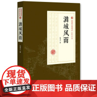 满城风雨(民国通俗小说典藏文库·张恨水卷)