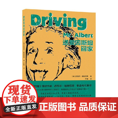 送爱因斯坦回家 迈克尔•帕特尼蒂 著 纪实文学