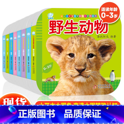 0~3岁宝宝早教撕不烂纸板书 [正版] 0~3岁宝宝早教撕不烂纸板书共8册宝宝婴儿故事书0岁早教绘本幼儿早教书0-3