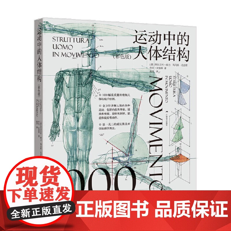 运动中的人体结构 彩色版 阿尔贝托·洛力等 著 绘画