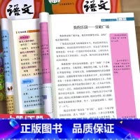 小学生同步作文(彩绘版) 三年级上 [正版]2024新版同步作文彩绘版三四五六年级上册小学生作文起步指导写作提升范文大全