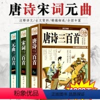 [正版]全3册唐诗三百首+宋词三百首+元曲三百首全集国学古诗词大全集全解详析全套小学生初中生课外阅读书唐诗宋词元曲鉴赏