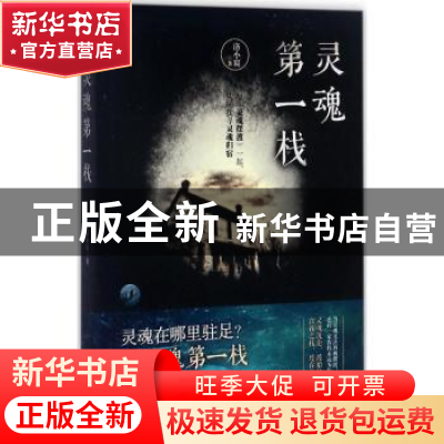 正版 灵魂第一栈 洛小宸著 贵州人民出版社 9787221143587 书籍