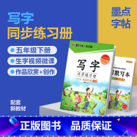 五年级下册(赠听写默写本) [正版]2024版字帖写字同步练习册一年级二年级三年级四年级五六七八九年级人教版上册下册笔顺