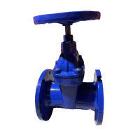 济俊 暗杆软密封法兰消防闸阀 ZSZF-125 DN125