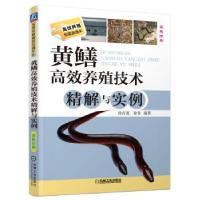 正版新书]黄鳝高效养殖技术精解与实例徐在宽,徐青 著978711142