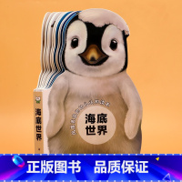 风靡英国的幼儿认知读本-海底世界 [正版]巨童风靡英国的幼儿认知读本全套10册 0-1-2-3岁宝宝婴儿书撕不烂益智早教