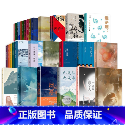 迟子建作品集全32册 [正版]单本套装任选 迟子建作品全集散文小说合集精选额尔古纳河右岸北极村童话伪满洲国也是冬天也是春