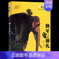 独牙象葬礼 [正版]全套6本雪山狼魂野马奔腾金蟒狂舞猴王荣耀雄鹰绝唱沈石溪的书籍动物小说动物救助站大王系列小学生三四五六