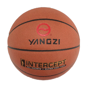 扬子嘉宝篮球YZ-MB771