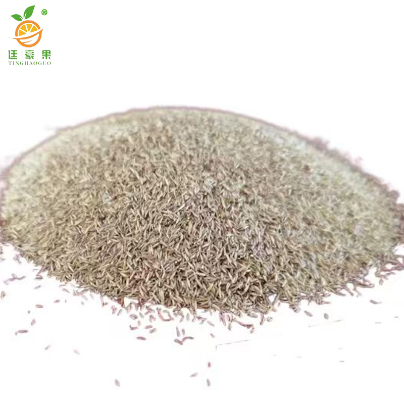 廷豪果 河堤护坡草草籽 护坡种子 净籽 /千克