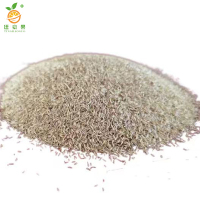 廷豪果 河堤护坡草草籽 护坡种子 净籽 /千克