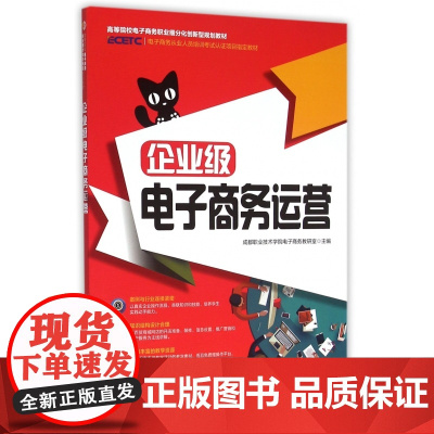 企业级电子商务运营(高等院校电子商务职业细分化创新型规划
