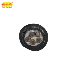 傻实在 电缆 国标全项保检 YJV22 5*2.5mm² 米