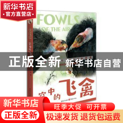 正版 空中的飞禽 (美)威廉·朗著 重庆出版社 9787229144999 书籍