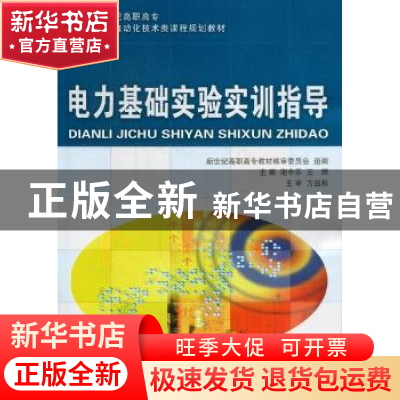 正版 电力基础实验实训指导 谢小乐,王辉主编 大连理工大学出版
