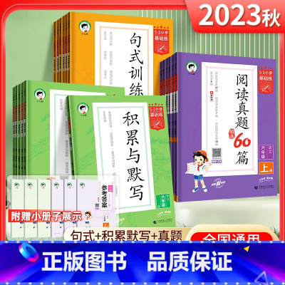 英语·阅读培优集训100篇(全一册) 小学五年级 [正版]2024版53小学基础练语文积累与默写一二年级三年级四年级五年