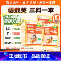 数学[人教版]语英[通用]预习复习试卷套餐 小学一年级 [正版]2024新版寒假一本通 一年级二年级三年级四五六年级上册