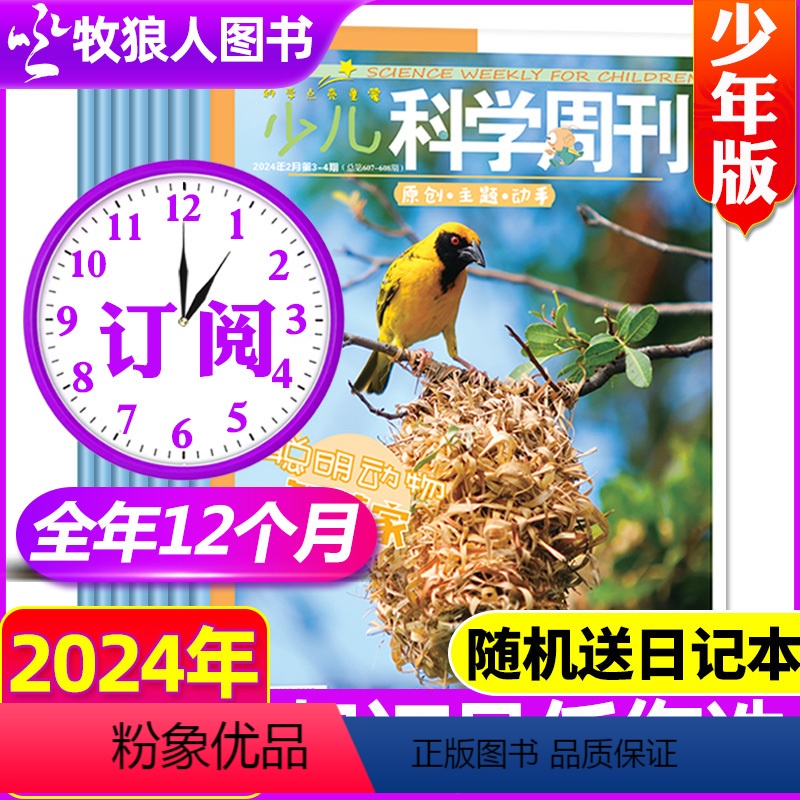 C[送日记本]跨年订阅2024年4月-2025年3月 [正版]少儿科学周刊少年版杂志2024/2023/2022年1-1