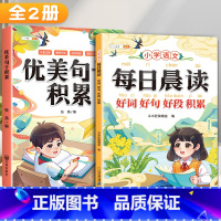 [全2册]好词好句好段 +优美句子积累 小学通用 [正版]小学生好词好句好段大全小学生语文作文素材优美句子积累大全一年级