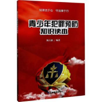 音像青少年犯罪预防知识读本陈玉新编著