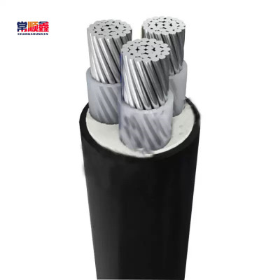 常顺鑫 低压铝芯电缆ZC-YJLV3×50 米