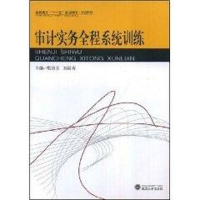 [M]审计实务全程系统训练-9787307064256