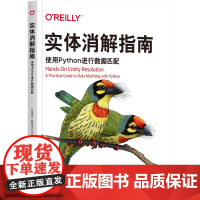 正版 实体消解指南:使用Python进行数据匹配 Michael Shearer Splink工具主要作者 实体消解