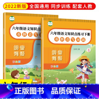 看拼音写词语(六年级上下册共2本) [正版]帝源六年级上册下册看拼音写词语拼音写汉字词语语文练习题形近字强化练习练习册小