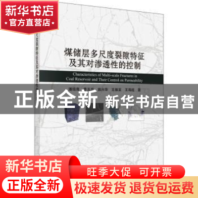 正版 煤储层多尺度裂隙特征及其对渗透性的控制 潘结南 科学出版