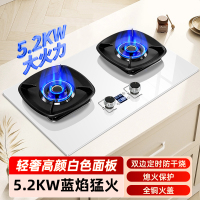[高颜白色]欢呼好太太燃气灶双灶煤气灶嵌入式台式灶具九腔大火力台上式炉具双眼灶炉聚能炉架定时液化气灶