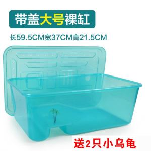 乌龟缸小养龟盆 大号带晒台鱼缸水陆缸乌龟塑料乌龟饲养盒箱