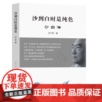 正版 沙到白时是纯色 沙白传王子和著 东南大学出版社 9787576616446