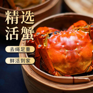 [活蟹]大闸蟹螃蟹3.3两公2.3两母8只装中秋礼盒 精品活蟹河蟹鲜活直发