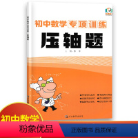 数学 初中通用 [正版]初中数学专项训练压轴题 初中必刷题库9九年级中考数学总复习挑战压轴题集大题突破训练习册重点难点考