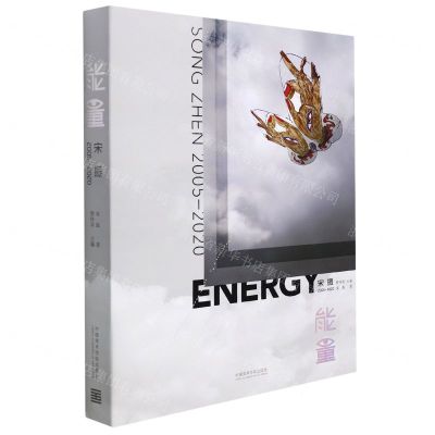 [N]能量(宋振2005-2020)(精)-9787550326262