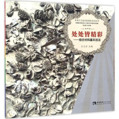 正版新书]处处皆精彩:综合材料基本技法左志丹9787562179917