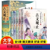 [正版全套5册]写给孩子的古文观止 [正版]写给青少年的古文观止小古文小学初中高中注音详解注释版中学生经典选读中国古诗词