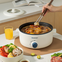 蓝宝(BLAUPUNKT)电煮锅 电火锅家用大容量2-4人使用多功能锅 BP-DZG20