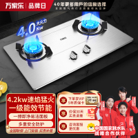 万家乐燃气灶 4.0kw大火力天然气灶 台嵌两用燃气灶 一级能效 家用不锈钢灶具KA0314.0kw不锈钢-液化气
