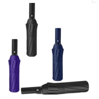 BR 伞 全自动雨伞 一把