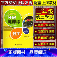 [正版]分层课课练 数学 2年级下/二年级第二学期 沪教版 上海小学数学课后AB卷练习辅导用书 上海科技教育出版社 小